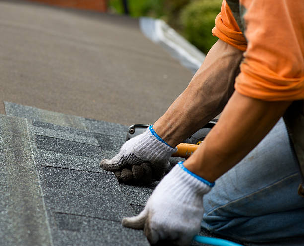 Best Shingle Roofing Installation  in Lake Mills, IA